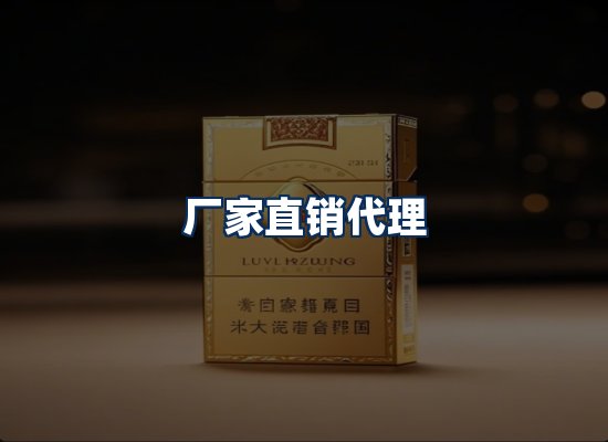专业团队办公环境